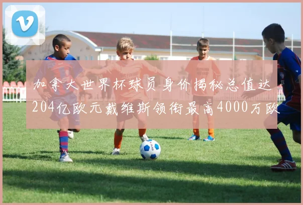 加拿大世界杯球员身价揭秘总值达204亿欧元戴维斯领衔最高4000万欧